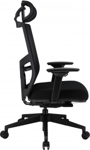 Офисное кресло Fuji Сетка Черный, Арт. eve5144 в магазине 5kresel